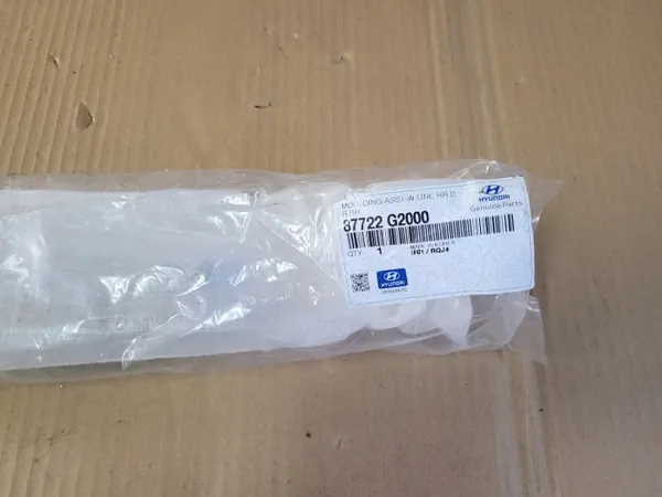 Hyundai Ioniq dörrlist OEM 87722-G2000 Höger bak image 3