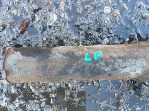 OEM LUK726 Stoßdämpfer Vorne Links für Mercedes E W124 image 3