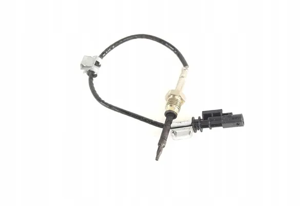 Sensor de temperatura DPF Fiat 55282031 image 3