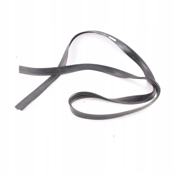 Junta de teto BMW I3 OEM 7305025 - Estado usado image 2