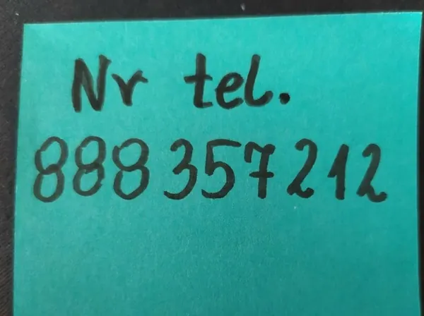 SANDERO III JOGGER GRILL image 8