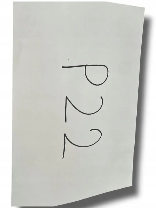 Etupuskuri-imuri Renault Clio III LIFT 620900553R image 4