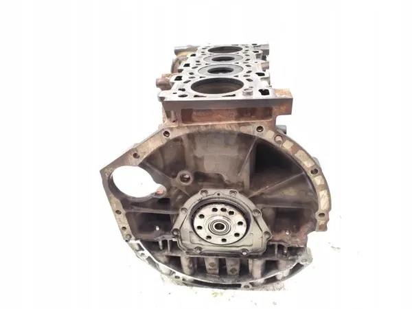 Bloco motor Renault Laguna M9RA740 2006 Diesel image 10