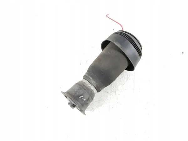 Ressort pneumatique arrière BMW X5 E70 OEM RZV69423 image 2