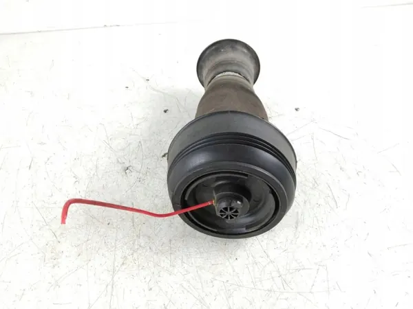 Ressort pneumatique arrière BMW X5 E70 OEM RZV69423 image 3