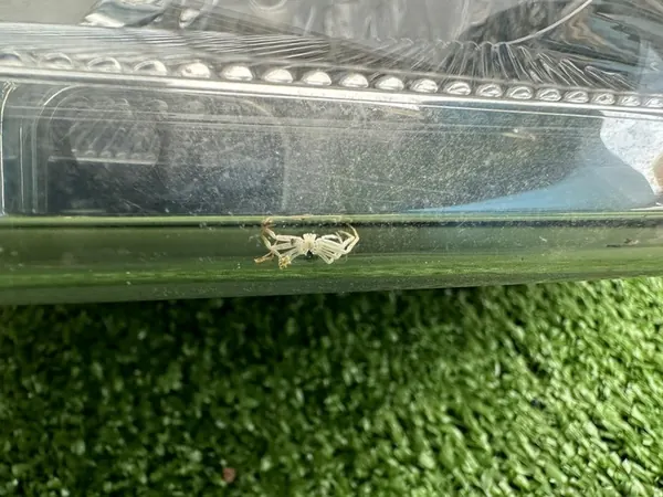 Vasen etuvalaisin Ford Transit Connect MK1 2T14-13008-AB image 10