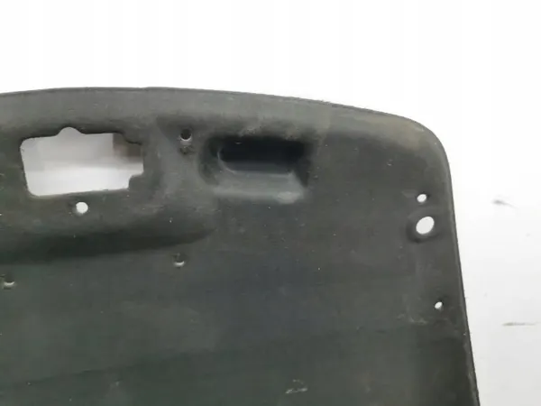 Isolation de capot Maserati Quattroporte 2005 OEM AMD205115 image 8