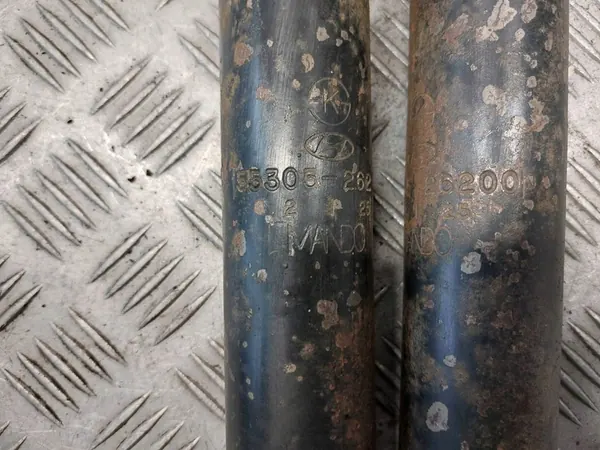 Ammortizzatore + Molla Posteriore Sinistra + Destra Hyundai Santa Fe I image 2