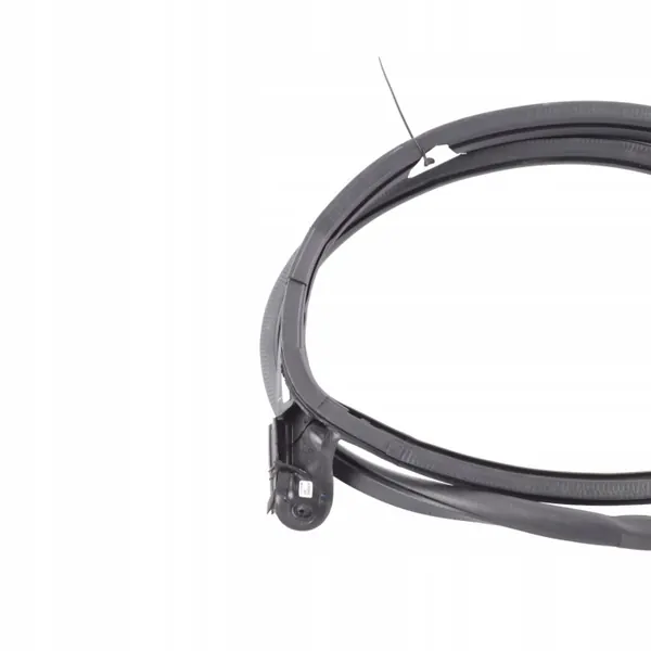 Joint de vitre Audi A5 F5 OEM 8W8831708 Droit Avant image 9