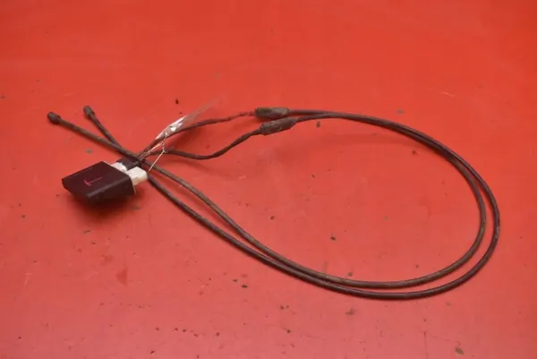 Capteur Module Ouverture Hayon OEM 3G0962243C image 2