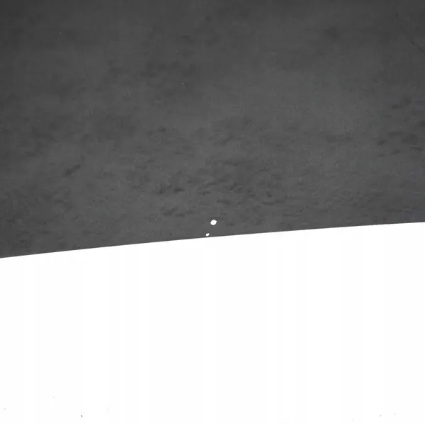 Opel Vivaro Motorhuv 93455832 image 9