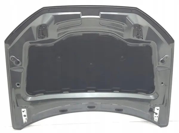 Motorhuv Gray Audi Q7 4M 4M0823029 image 9