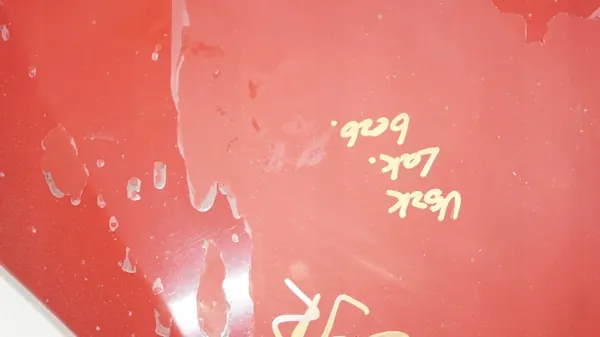Moottorikansi OEM 360191609 Seat Leon II 05-09 image 5