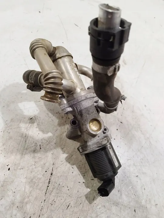 Válvula EGR Fiat Punto (199) 2007 OEM 700020240 image 4