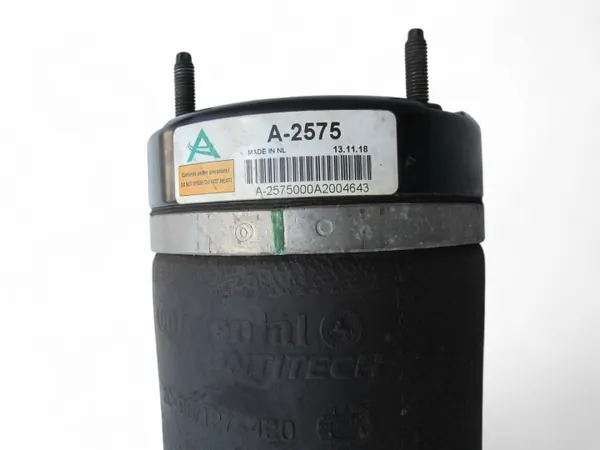Arnott A-2575 Voor linker schokdemper Mercedes GL image 5