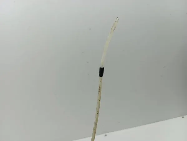 Mercedes ML W164 Achter luchtveer OEM AMD108302 image 6