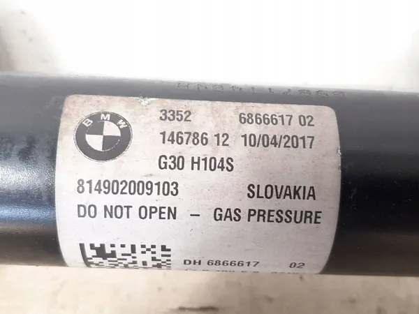 Ammortizzatore Posteriore BMW 5 G30 image 2