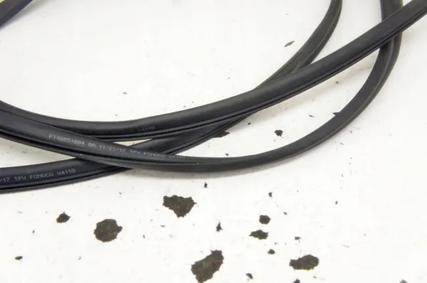 UV244 Ford Edge Mk2 Panoramakaton tiiviste OEM FT4BR51884-BA image 4