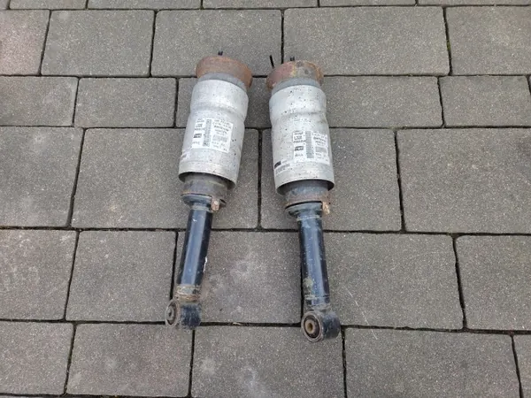 Voorste luchtvering OEM 22257272 L320 image 2