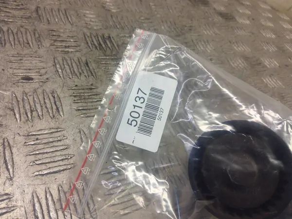 Vaihtovälineen jännittäjä Seat Leon (5F) 04L903315A image 2