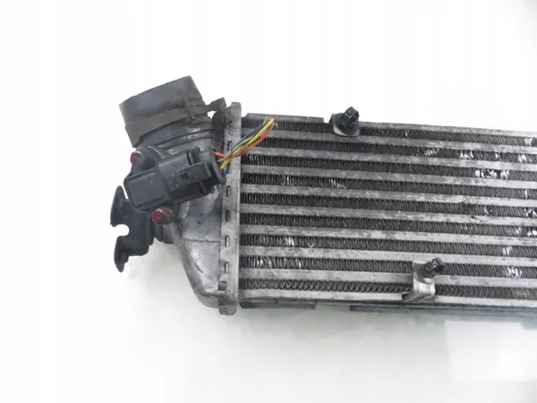 Radiatore Intercooler 282712A401 image 5