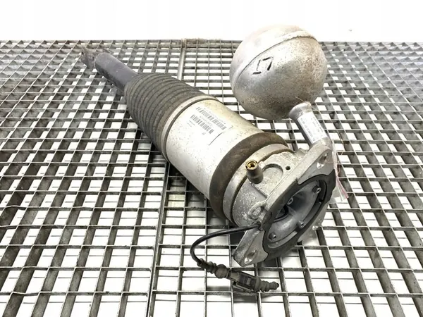 Amortizzatore Posteriore Sinistro VW Phaeton 3D0616001N image 2