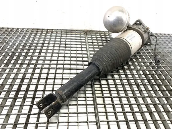 Amortizzatore Posteriore Sinistro VW Phaeton 3D0616001N image 3