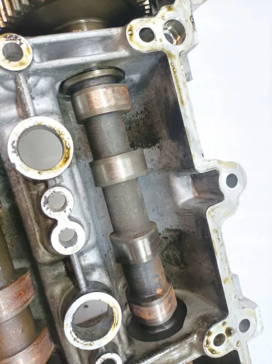 Sylinterikansi OEM 55565883 Opel Signum 1.9 CDTI image 7