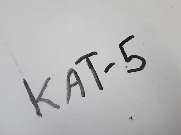 Katalysaattori OEM 00520871150 Fiat Qubo/Fiorino image 9