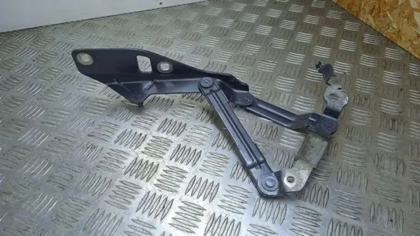 Bisagra de Capó Derecha Audi TT 8J0 OEM 8J0823302 image 2