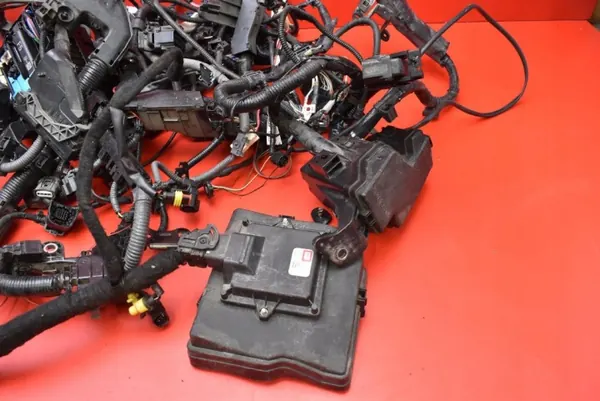 Harness Motor OEM 82121-0U680-A Toyota image 4