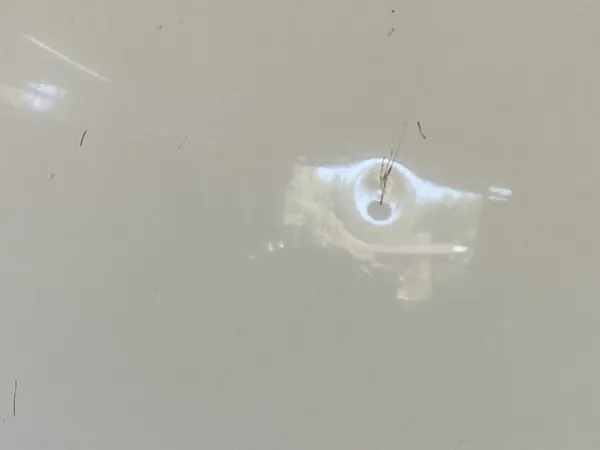 Capô FORD KUGA ESCAPE 12-19 GJ5Z-16612-A image 4