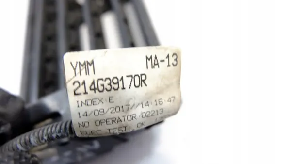 Renault OE Luftventil Lamell OEM RENAULT SCENIC IV 1.2 TCE image 7