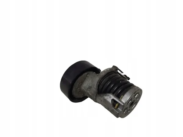 Tensor de correia alternador Volkswagen Golf VI image 4