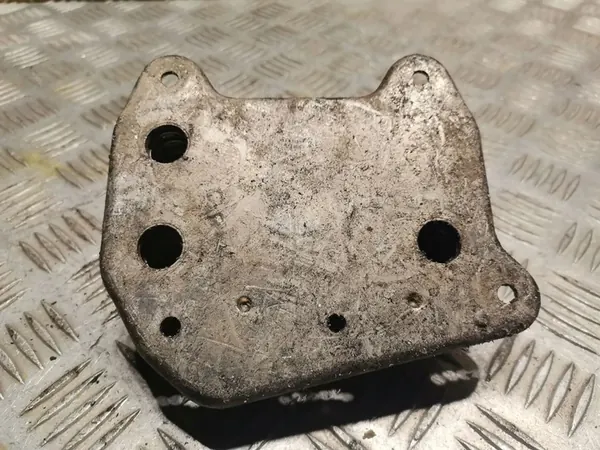 Radiador de óleo Mercedes-Benz CLK A209 C209 image 3