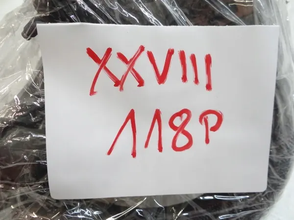 CITROEN DS7 1.5 BLUE HDI Vattenpumphus image 6