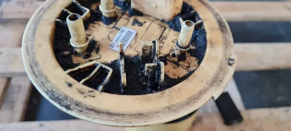 Bomba de Combustível Audi A6 C6 2.0 TDI 4F0919088P image 6