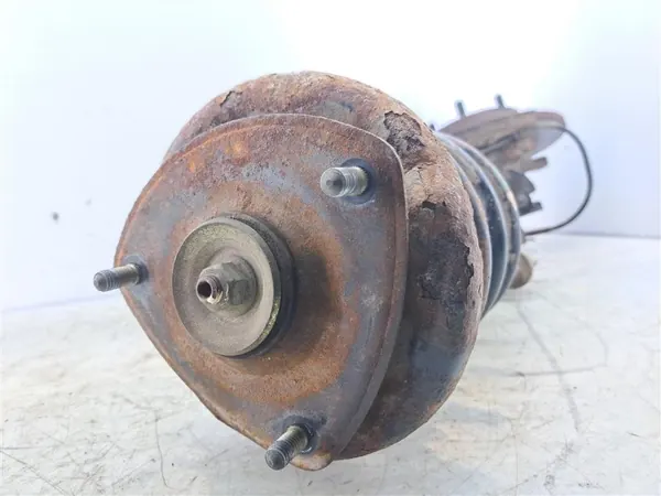 Amortecedor dianteiro esquerdo FREELANDER OEM Land Rover 96-06 image 8