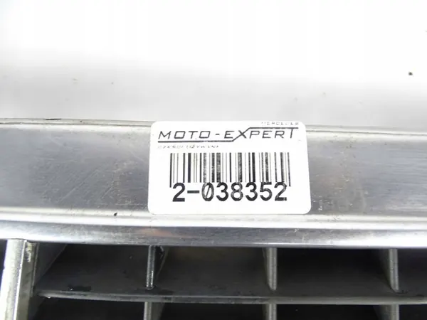 Griglia Mercedes Classe S W140 image 3