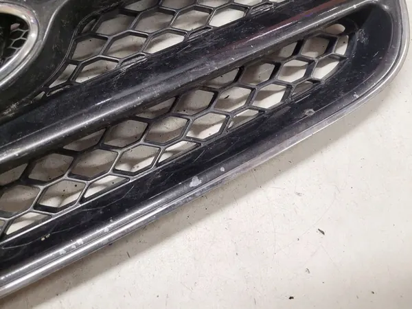 Hyundai OE E86561-2B010 grill image 4