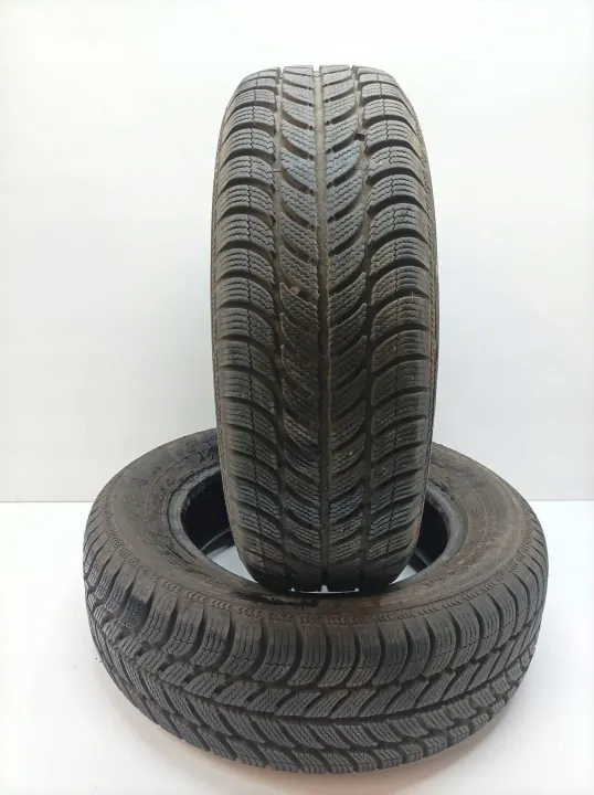 2x Neumáticos Invierno Dębica Frigo 195/65R15 image 2
