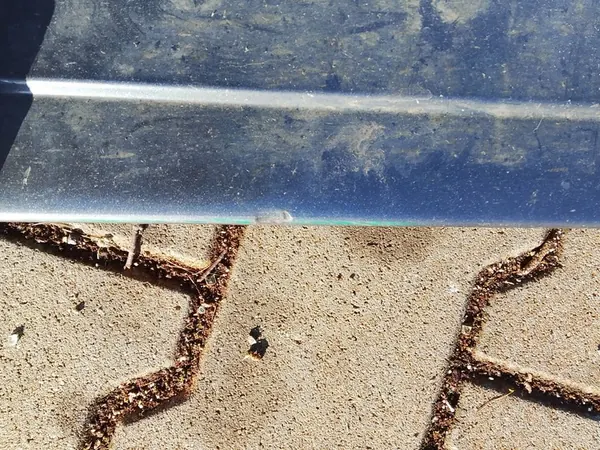 VW Passat CC 2010 Linker Dorpel 3C8853855B image 2