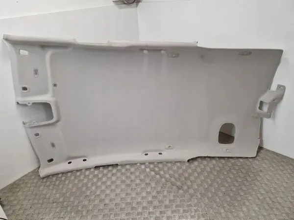 OEM 739100434R Teto Renault Scenic IV image 2