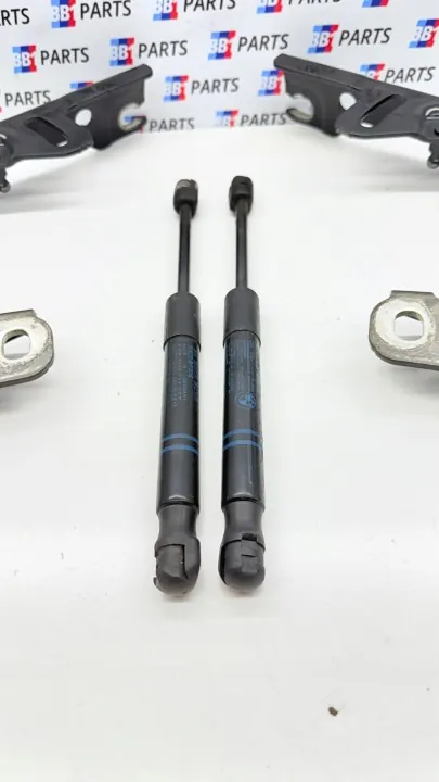 BMW OEM 7336699 7336700 Konepeltisaranat Vasen Oikea image 7