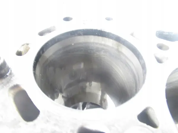Motorblok Fiat Ducato III 2.2 D OEM 6C1Q6015 image 6