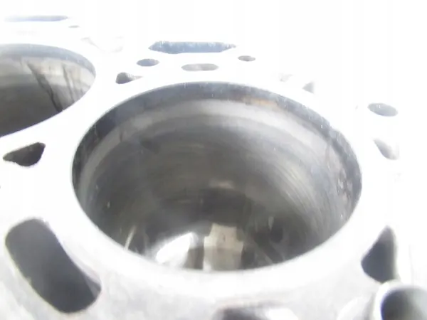 Motorblok Fiat Ducato III 2.2 D OEM 6C1Q6015 image 8