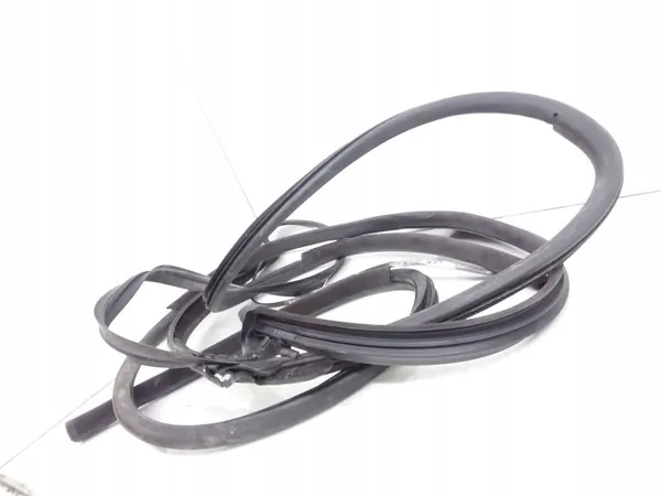 BMW DP05253 Türdichtung für 2004 3er E46 image 2