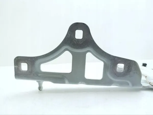 OEM A2968800901 Linker Motorkapscharnier Mercedes image 5