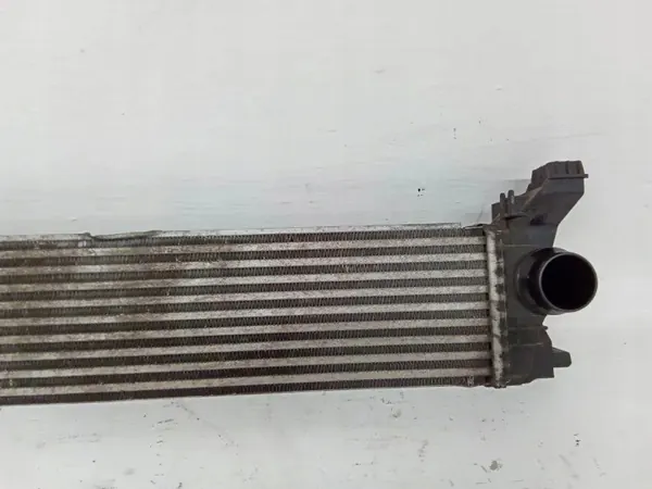 Intercooler OEM A4475010501 para Mercedes Viano Vito W447 image 3