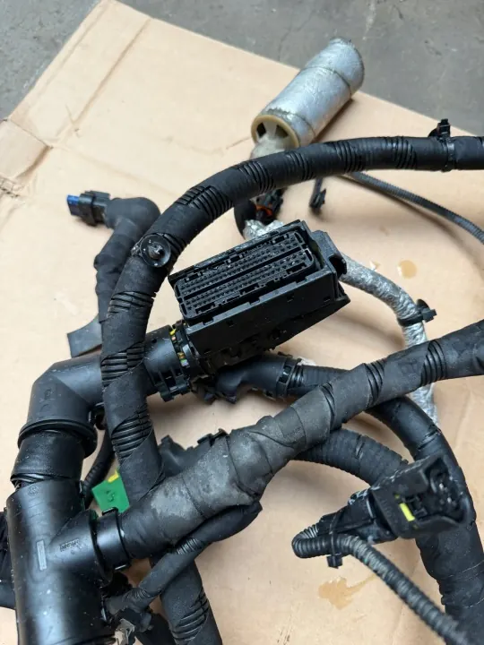 Motor Kablage OEM JC46-12A690 för Ford F-Max image 4